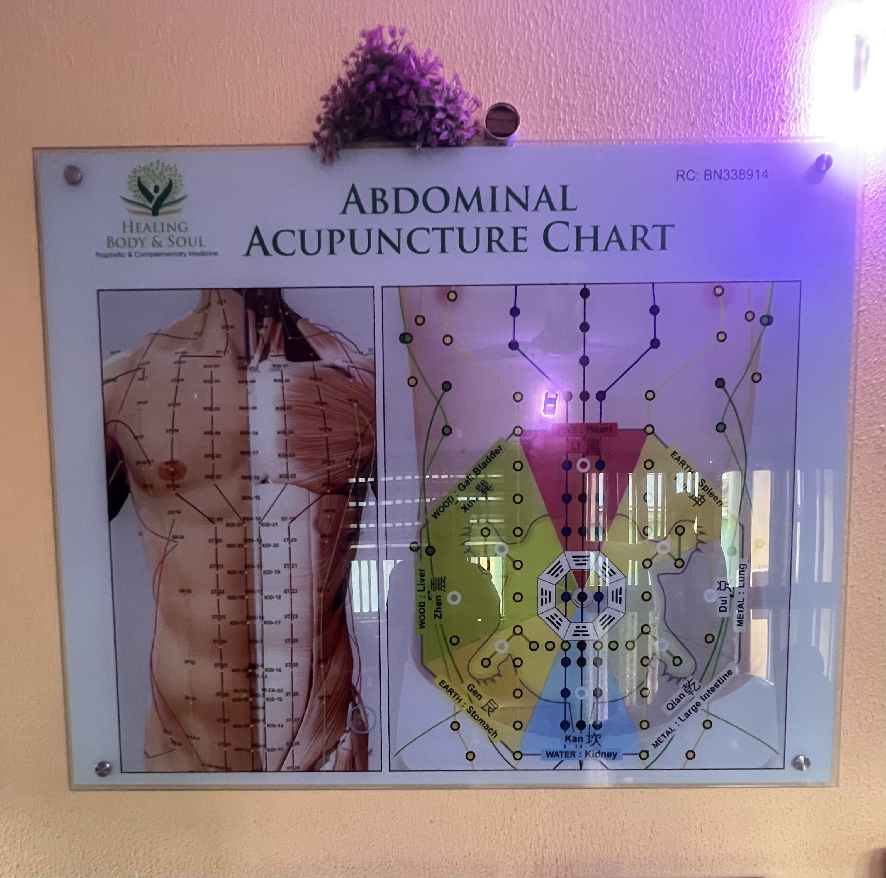 Acupuncture Chart